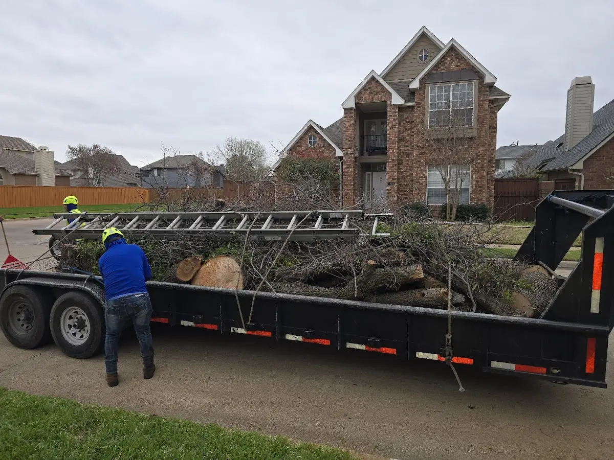 Expert Tree Pest Control with proper safety equipment in Frost